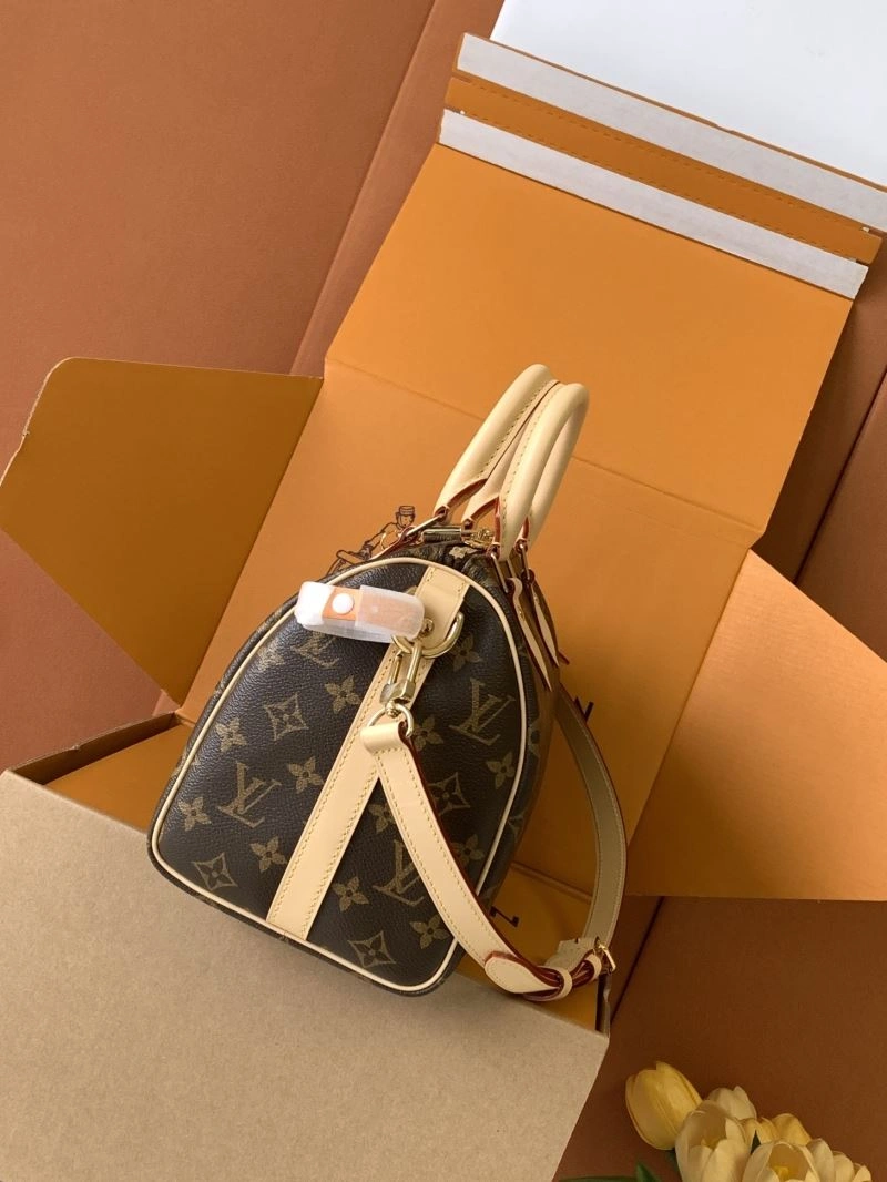 Louis Vuitton Speedy Bags Resilient 93419