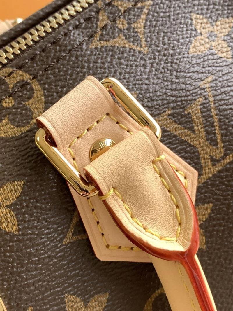 Louis Vuitton Speedy Bags Resilient 93419