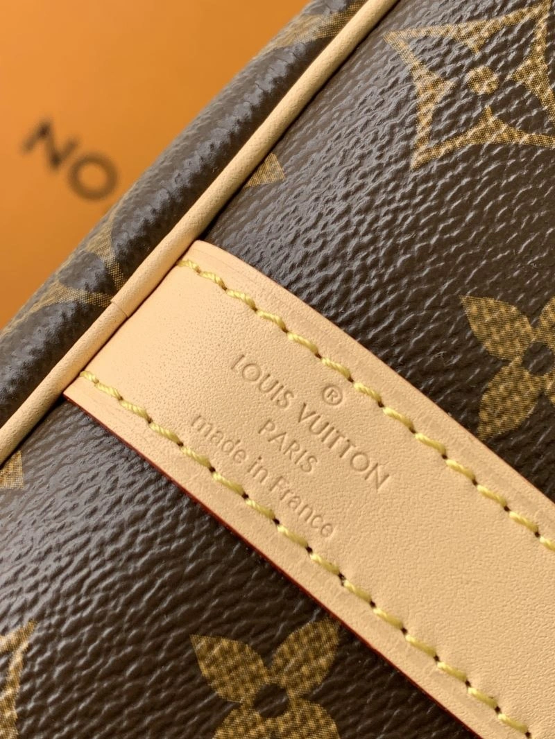 Louis Vuitton Speedy Bags Resilient 93419