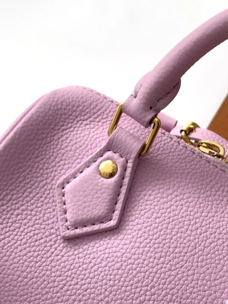 Louis Vuitton Speedy Bags FlexibleFit 43251