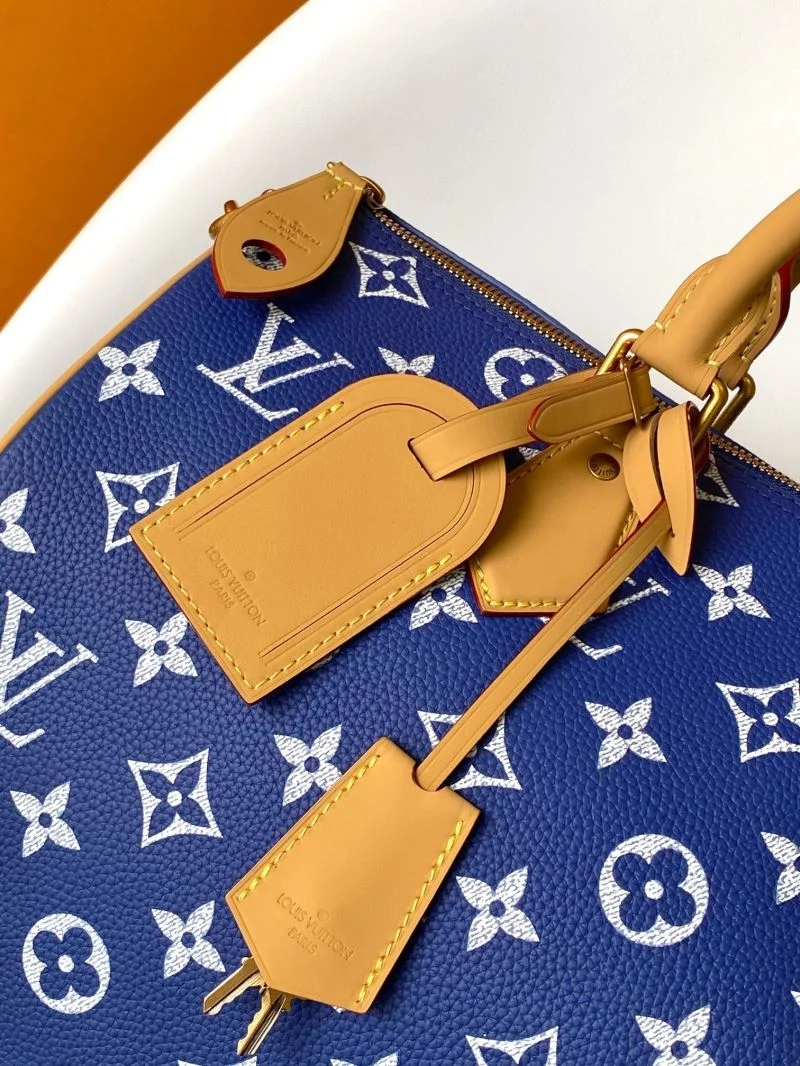 Louis Vuitton Speedy Bags Popular 43242