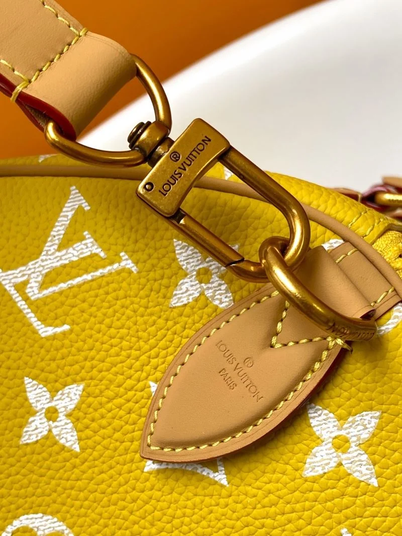 Louis Vuitton Speedy Bags Stylish 43245