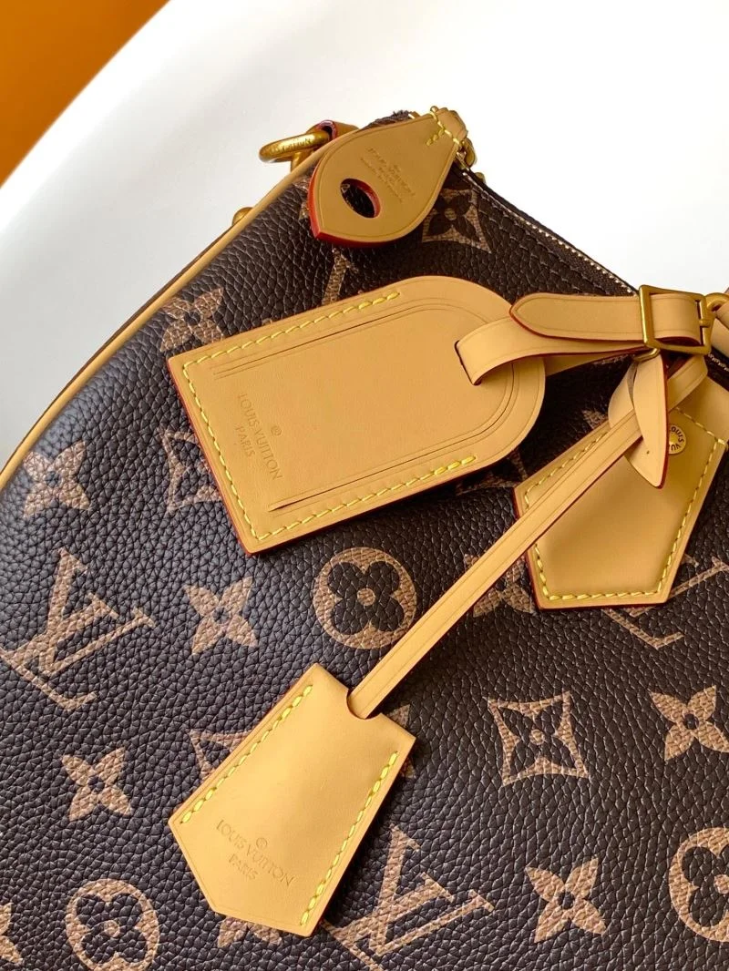 Louis Vuitton Speedy Bags BestValue 43253
