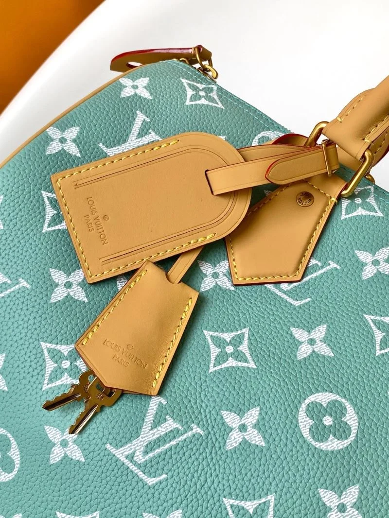 SunProtective Louis Vuitton Speedy Bags 43252