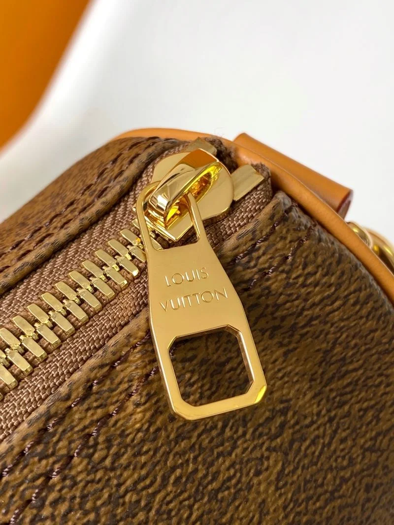 Louis Vuitton Speedy Bags Affordable 42416
