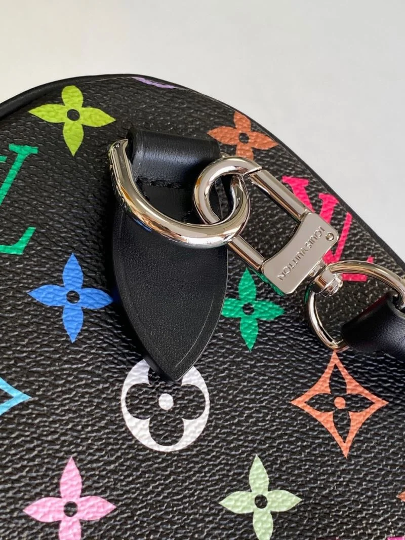 Louis Vuitton Speedy Bags Cozy 42386