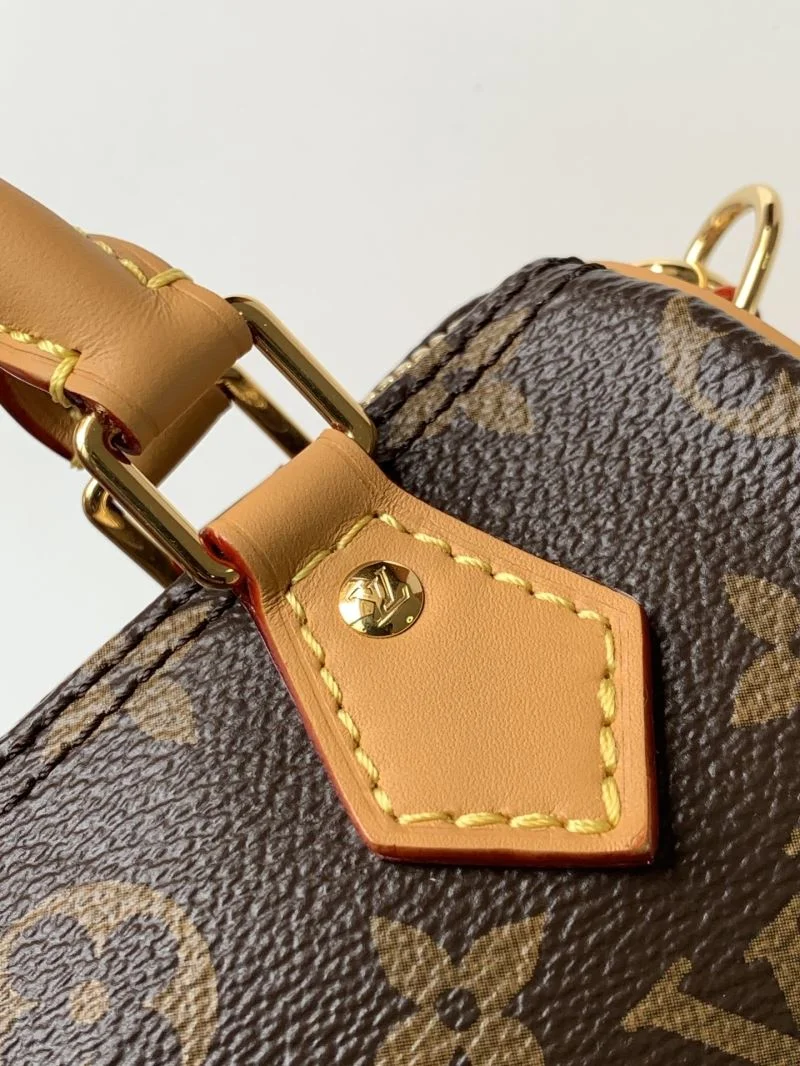 Louis Vuitton Speedy Bags Modern 42379