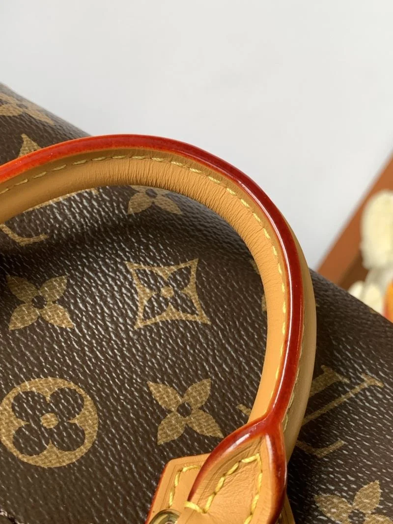 Louis Vuitton Speedy Bags Modern 42379