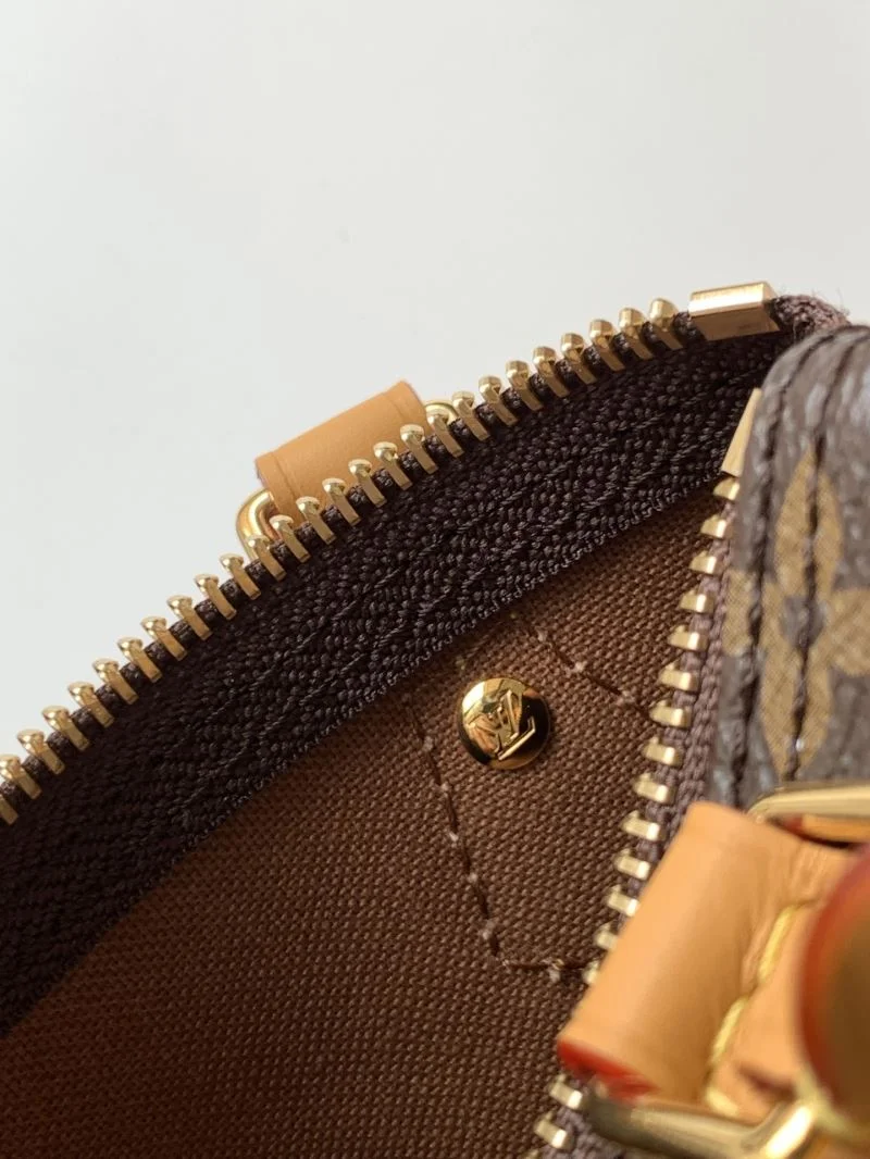 Louis Vuitton Speedy Bags Modern 42379