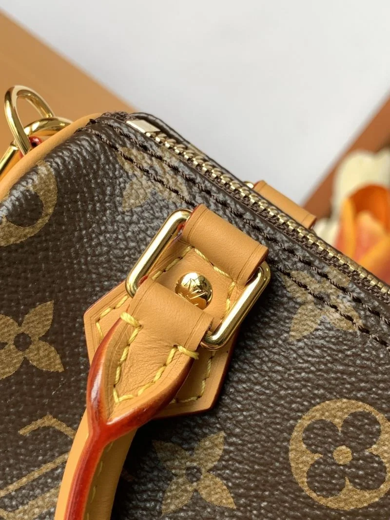 Louis Vuitton Speedy Bags Modern 42379