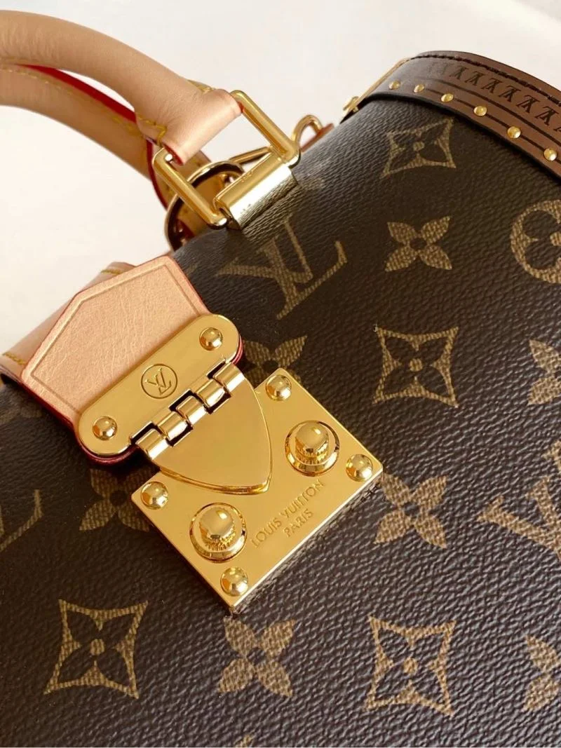 Louis Vuitton Speedy Bags WellDesigned 42366