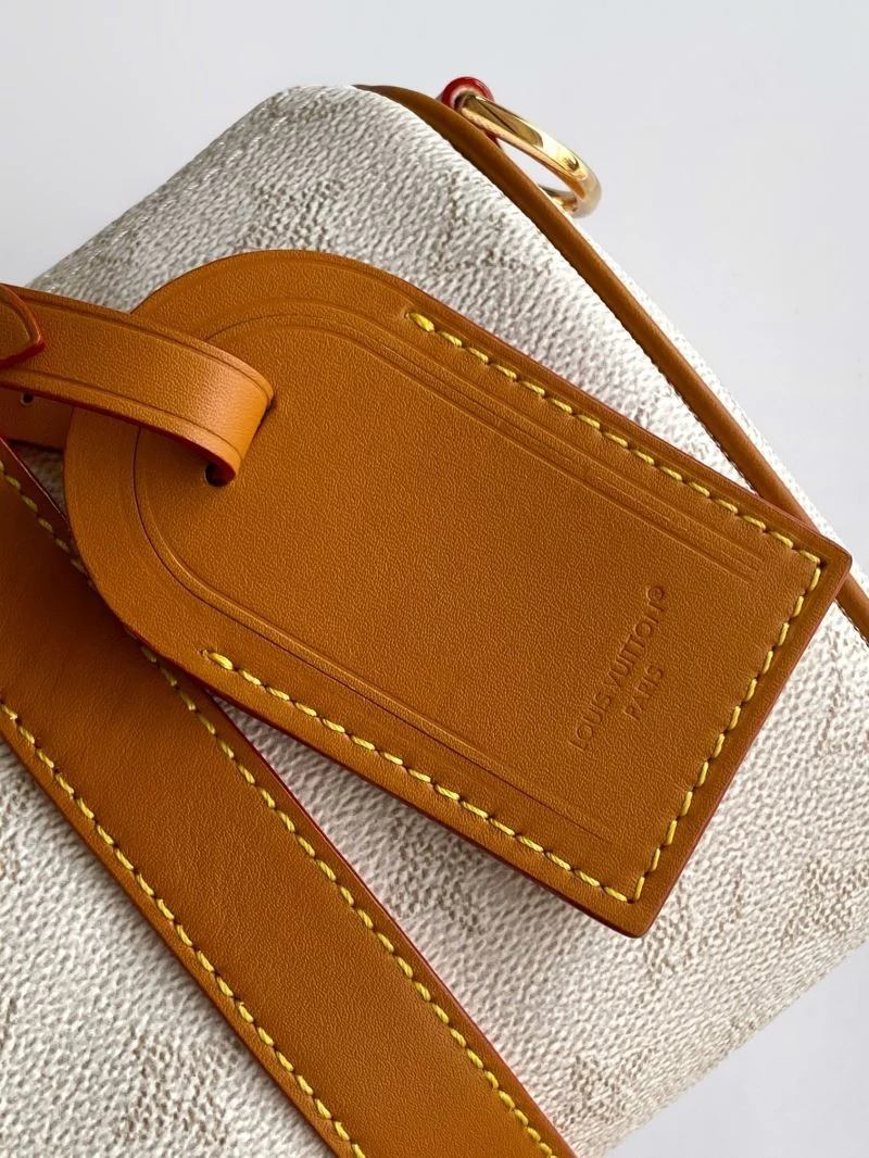 Louis Vuitton Speedy Bags ZeroBulk 42334