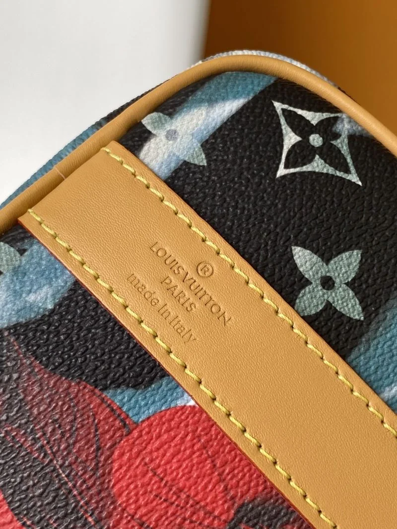 Timeless Louis Vuitton Speedy Bags 42317