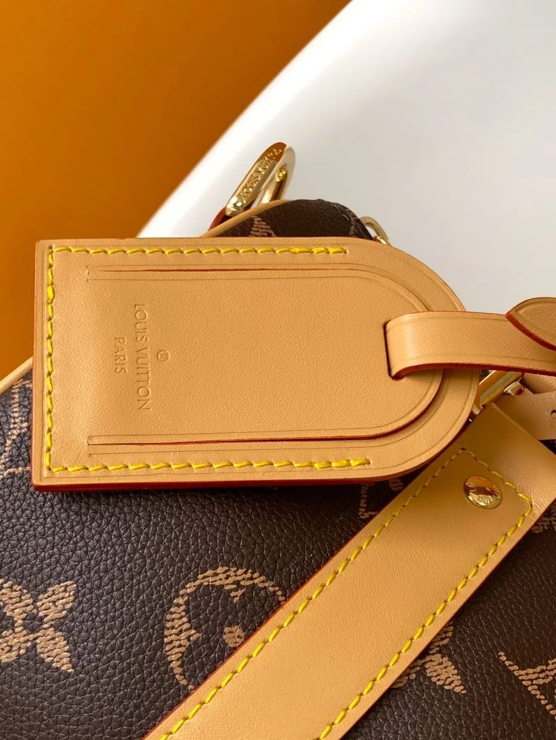 Louis Vuitton Speedy Bags WeatherProof 42305