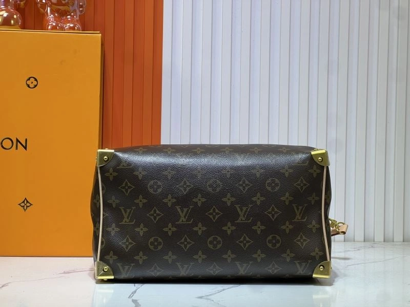 Louis Vuitton Speedy Bags OdorResistant 80067