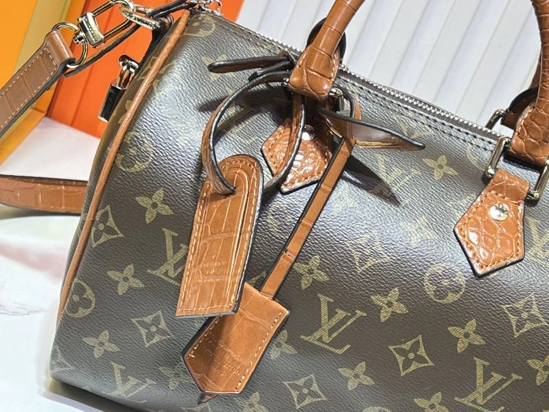 Sustainable Louis Vuitton Speedy Bags 80085