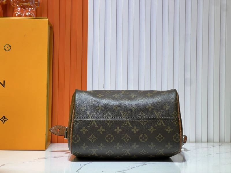 Sustainable Louis Vuitton Speedy Bags 80085