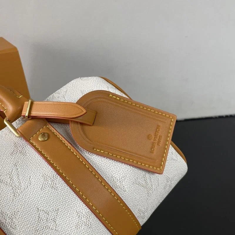Louis Vuitton Speedy Bags Resilient 41491