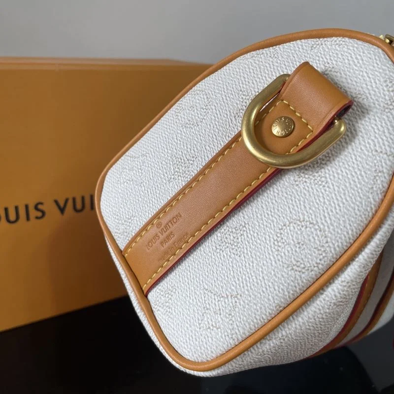 Louis Vuitton Speedy Bags Resilient 41491