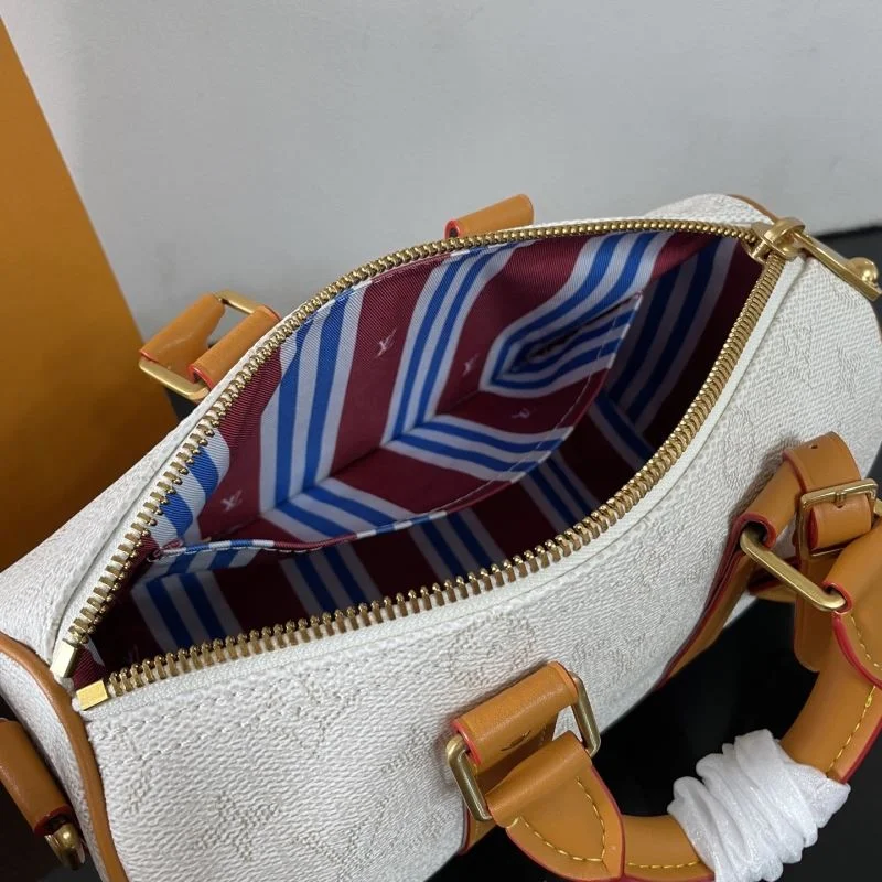Louis Vuitton Speedy Bags Resilient 41491