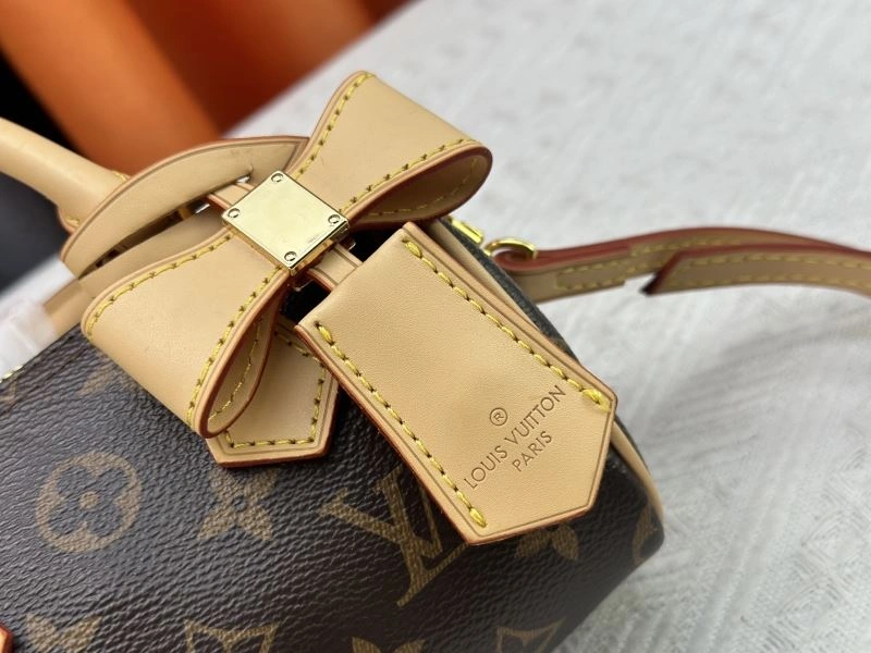 Louis Vuitton Speedy Bags Functional 80551