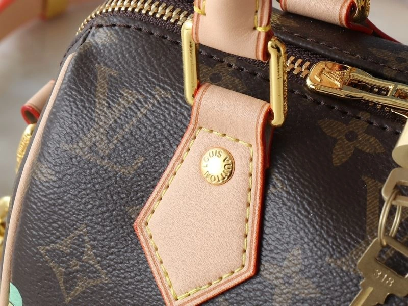 Louis Vuitton Speedy Bags EasyMatch 88487