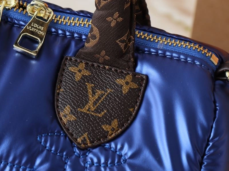 Louis Vuitton Speedy Bags Functional 88484