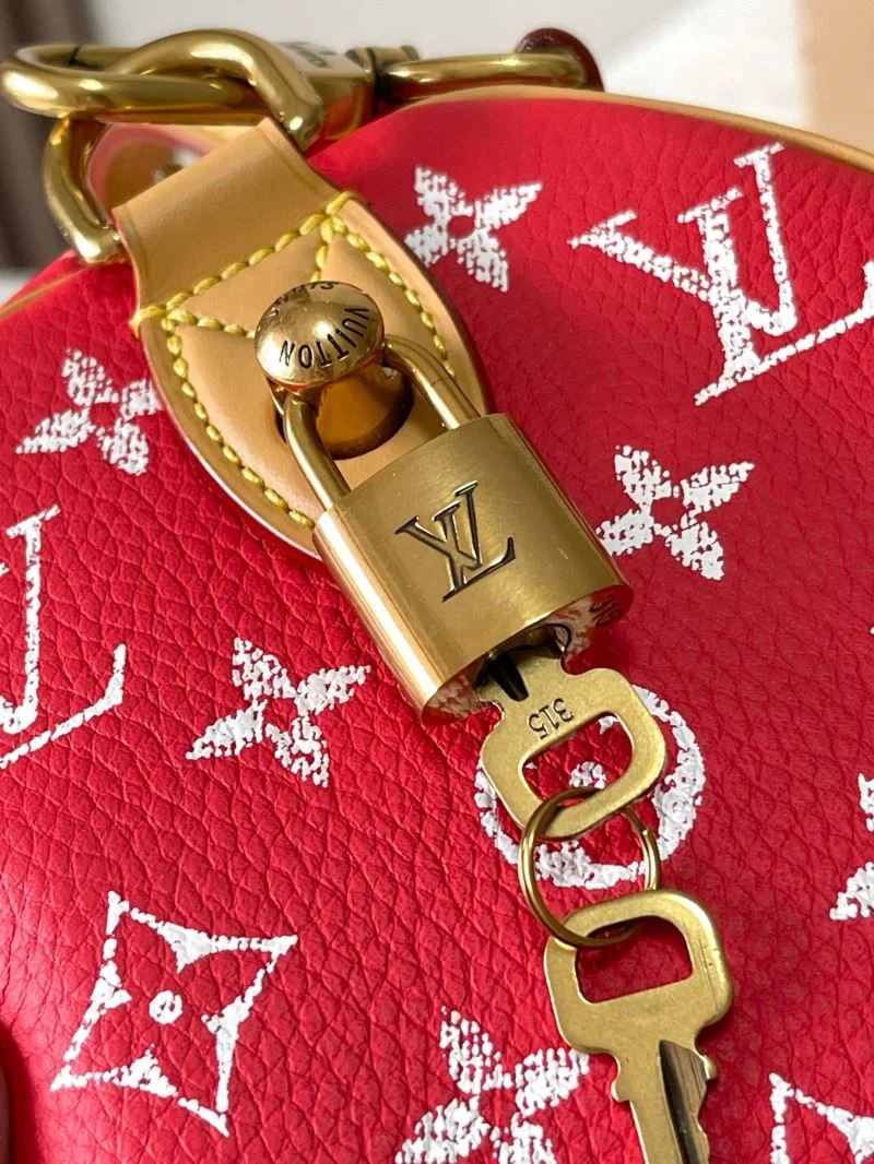 Fashionable Louis Vuitton Speedy Bags 41088
