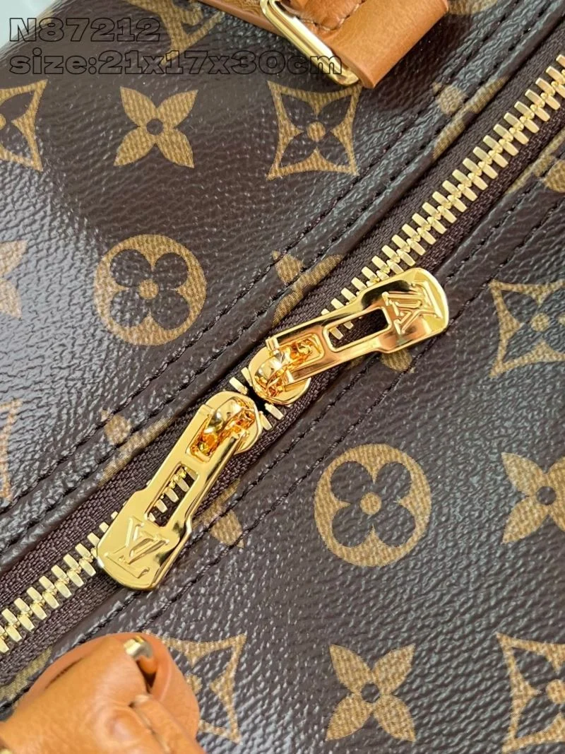 Casual Louis Vuitton Speedy Bags 41067