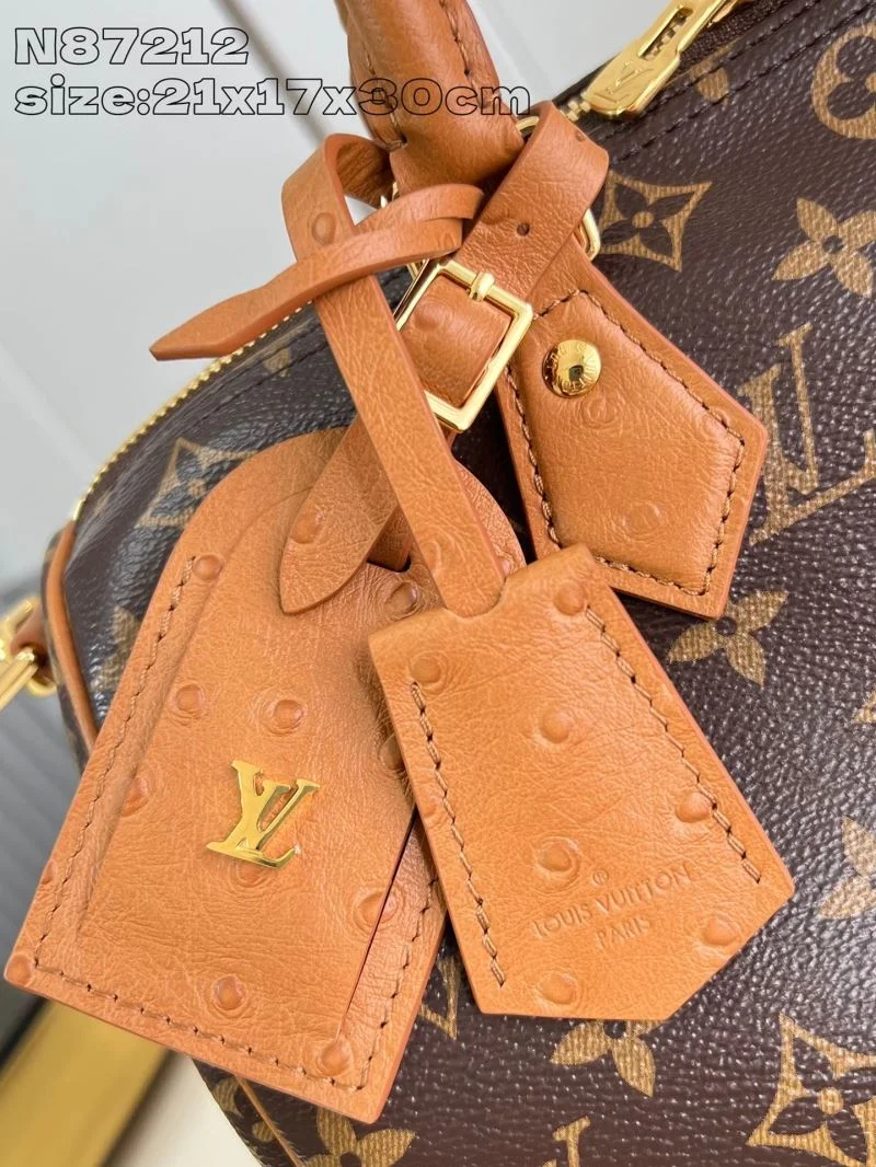 Casual Louis Vuitton Speedy Bags 41067
