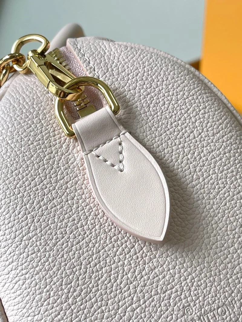 FreshLook Louis Vuitton Speedy Bags 41060