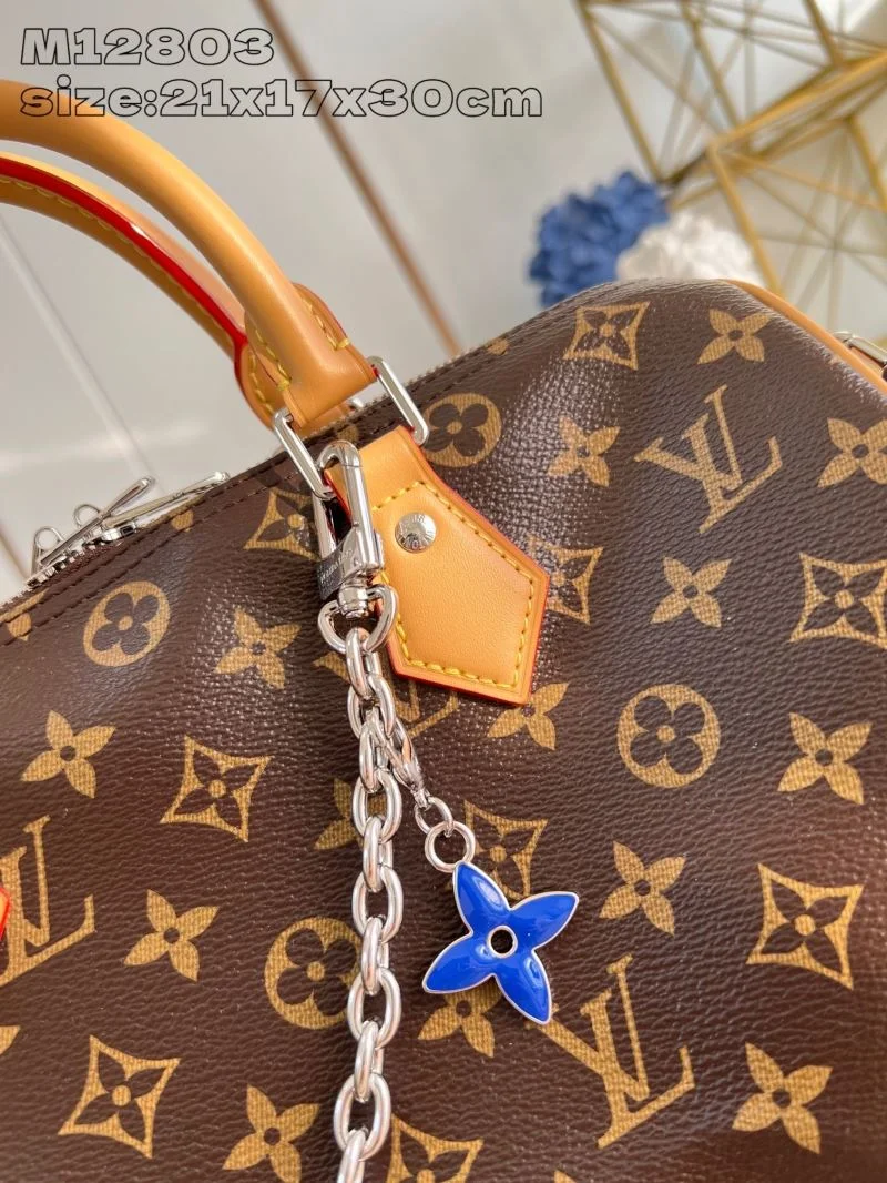 Louis Vuitton Speedy Bags EasyMatch 41057
