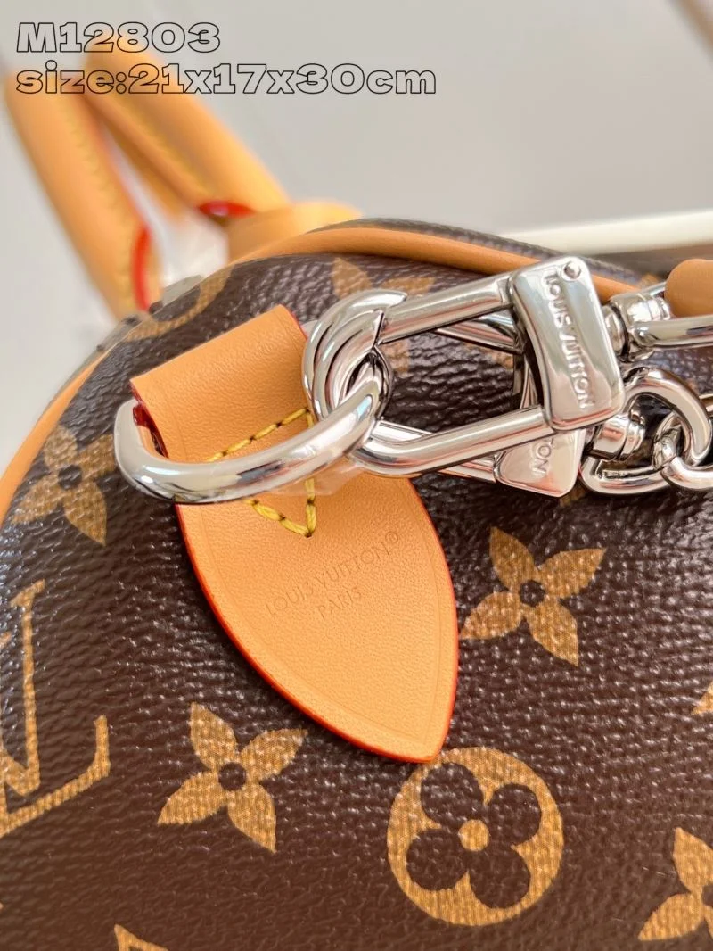 Louis Vuitton Speedy Bags EasyMatch 41057