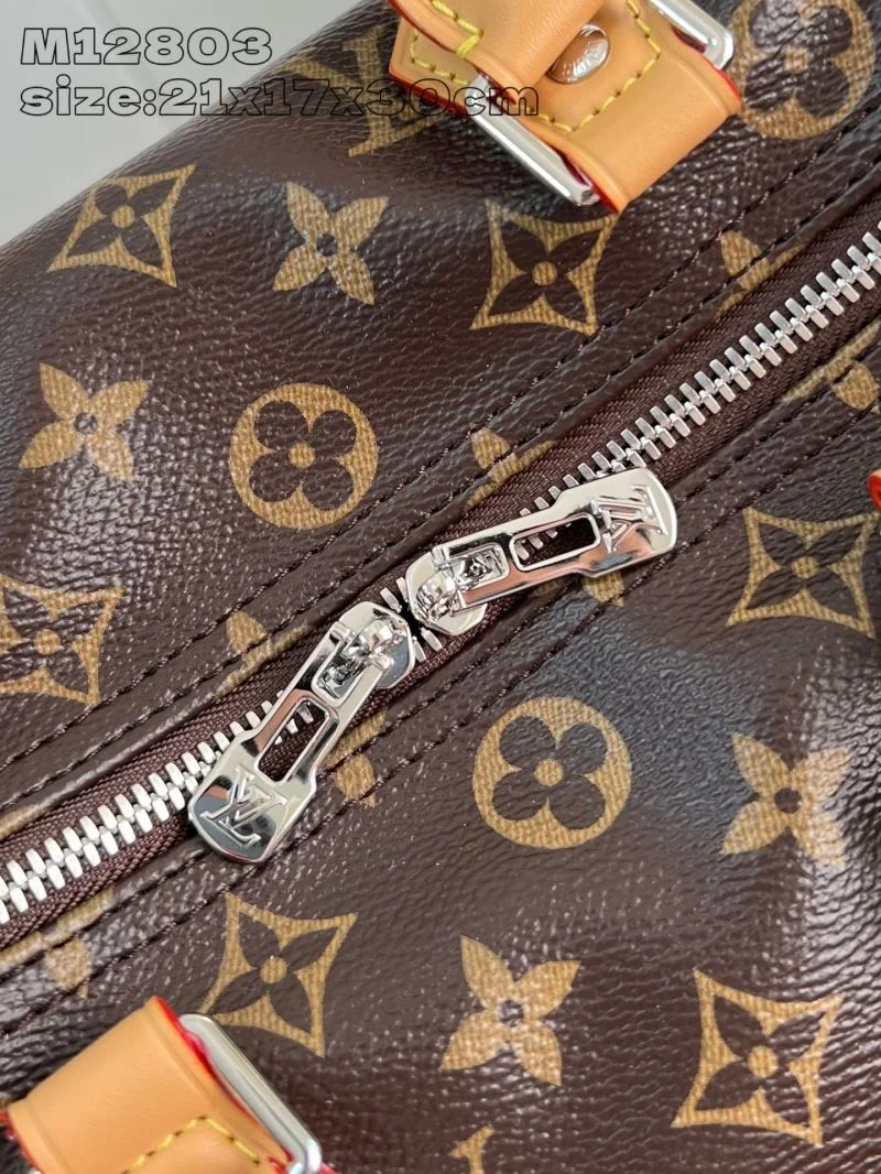 Louis Vuitton Speedy Bags EasyMatch 41057