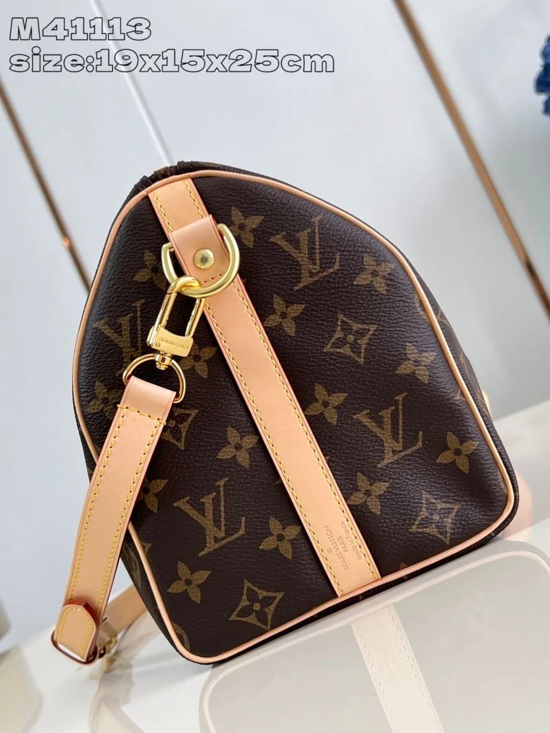 Louis Vuitton Speedy Bags Modern 41068