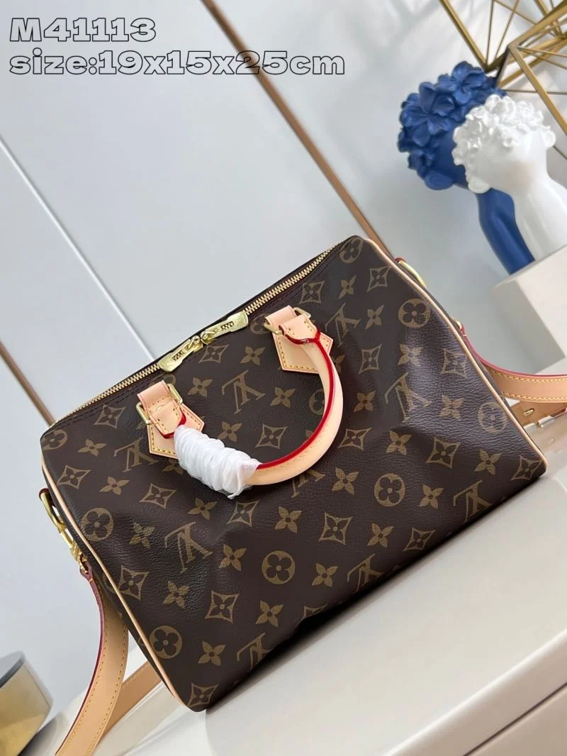 Louis Vuitton Speedy Bags Modern 41068