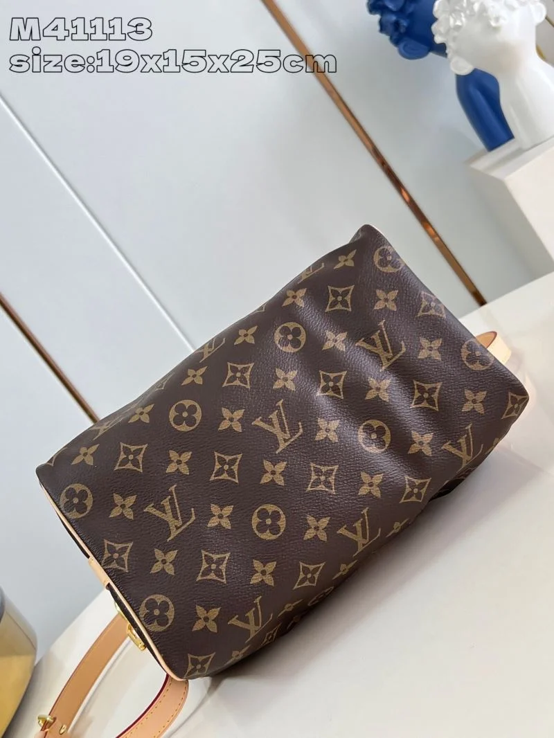 Louis Vuitton Speedy Bags Modern 41068