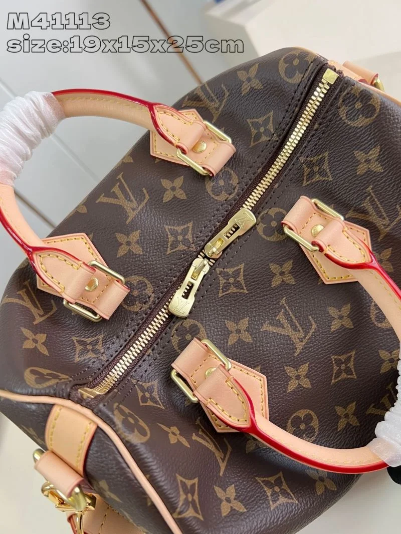 Louis Vuitton Speedy Bags Modern 41068