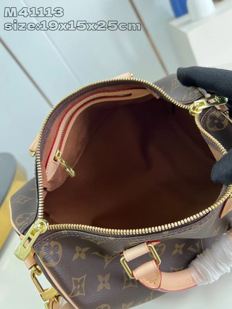 Louis Vuitton Speedy Bags Modern 41068