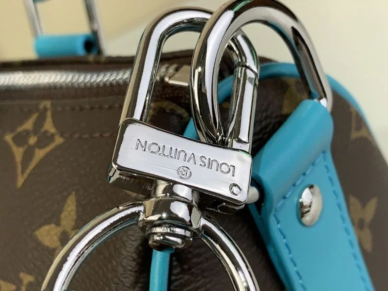 Seasonal Louis Vuitton Speedy Bags 41091