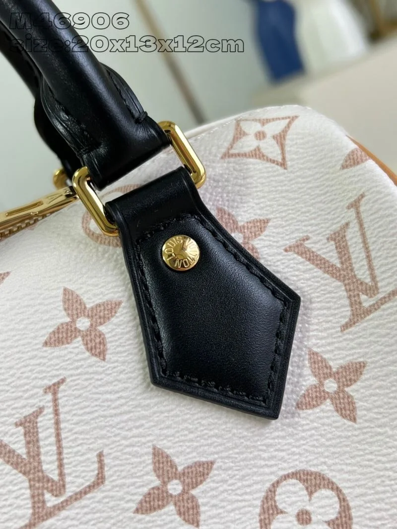 Affordable Louis Vuitton Speedy Bags 41100
