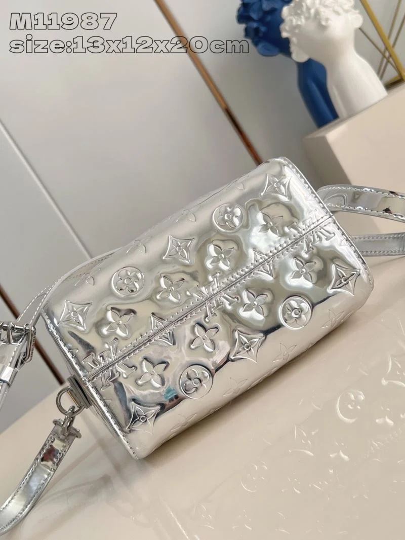 Louis Vuitton Speedy Bags DailyWear 41051