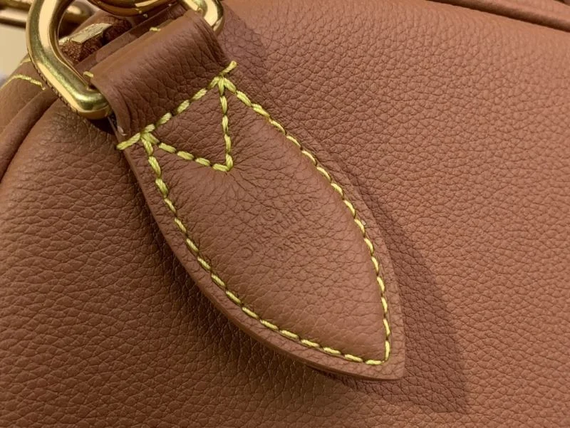 Louis Vuitton Speedy Bags Seasonal 41084