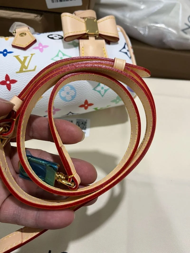 Sustainable Louis Vuitton Speedy Bags 41031