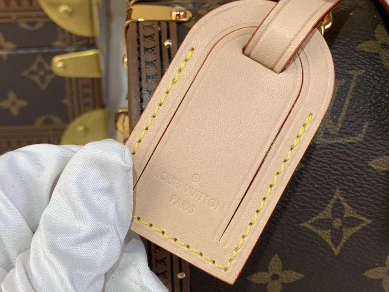 EyeCatching Louis Vuitton Speedy Bags 40410