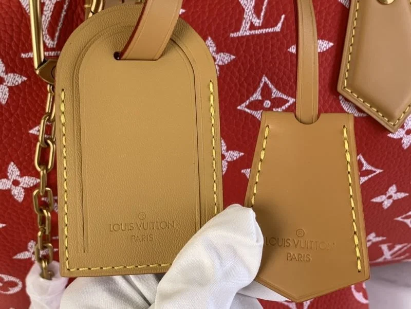 Louis Vuitton Speedy Bags Functional 40400