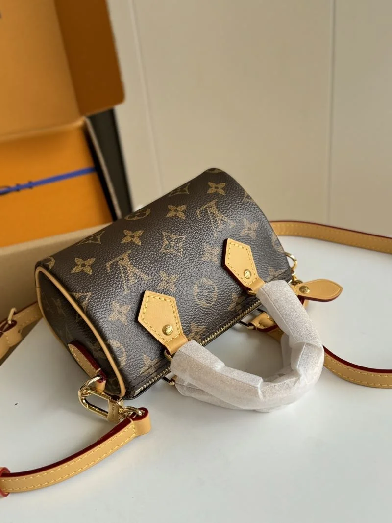 Louis Vuitton Speedy Bags GoAnywhere 49242