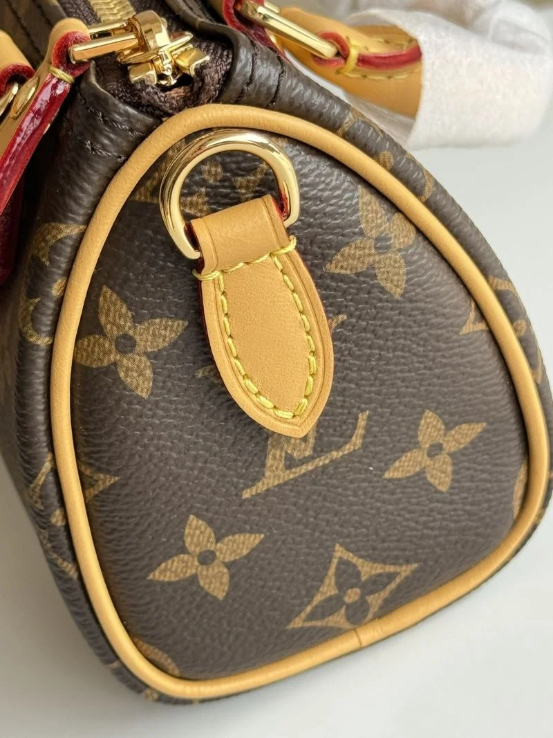 Louis Vuitton Speedy Bags GoAnywhere 49242