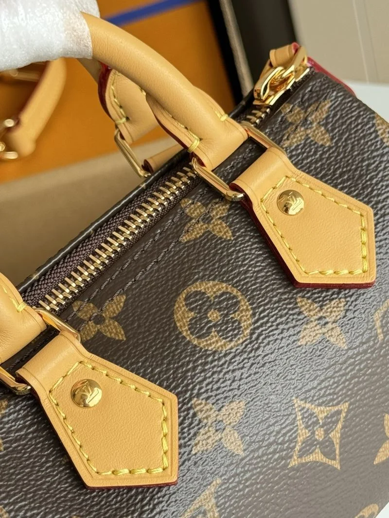 Louis Vuitton Speedy Bags GoAnywhere 49242