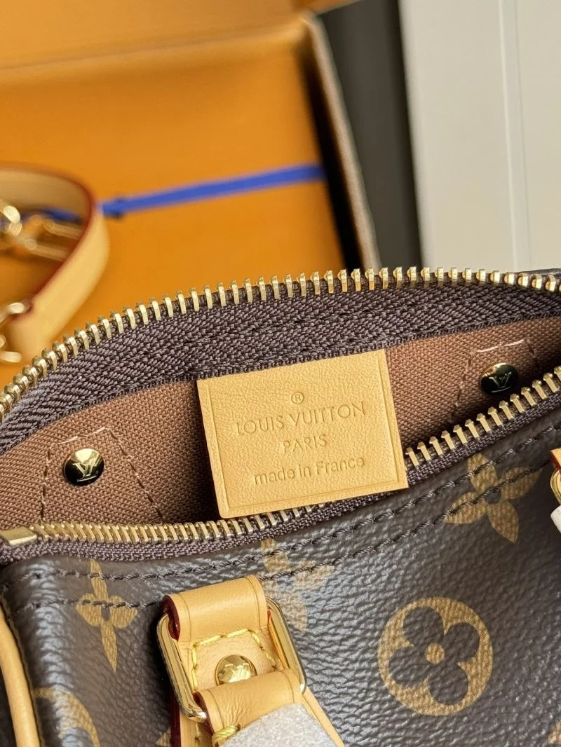 Louis Vuitton Speedy Bags GoAnywhere 49242